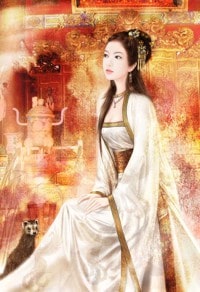 《曲线潜规则(简体)》